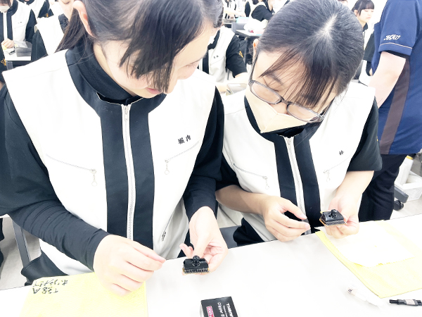 Nbp[̐n̂ꁙ
